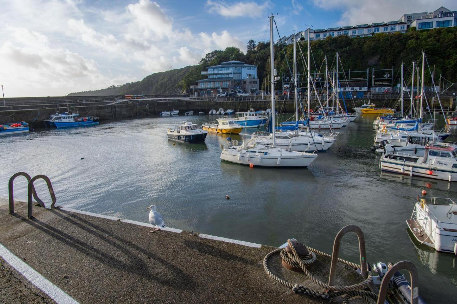 Ocean Cabins No 3 At The Square - Saundersfoot Zimmer foto